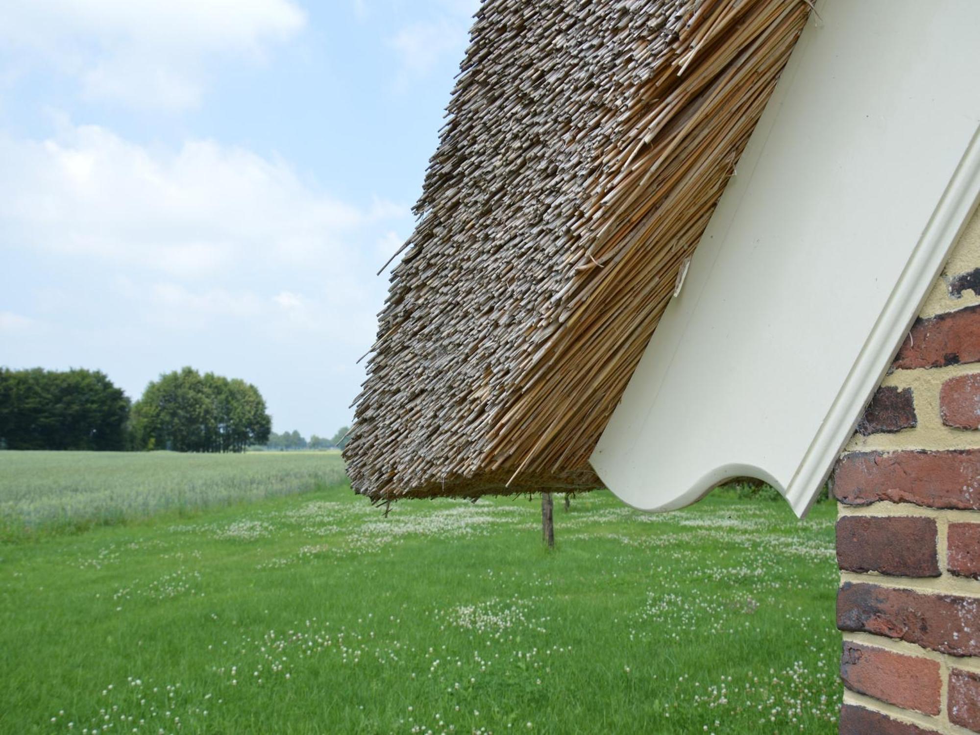Quaint Farmhouse In Geesteren With Meadow View エクステリア 写真
