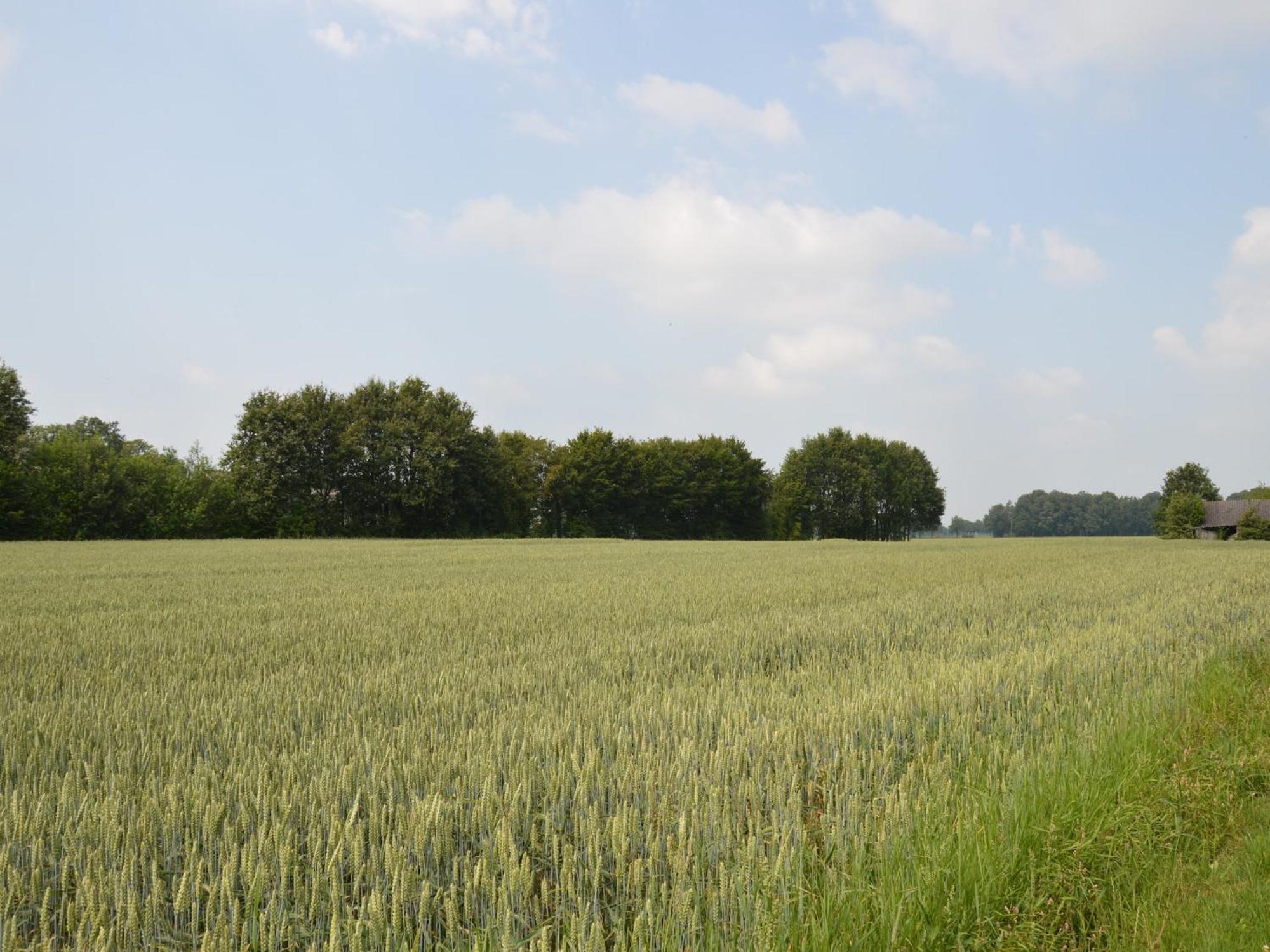 Quaint Farmhouse In Geesteren With Meadow View エクステリア 写真