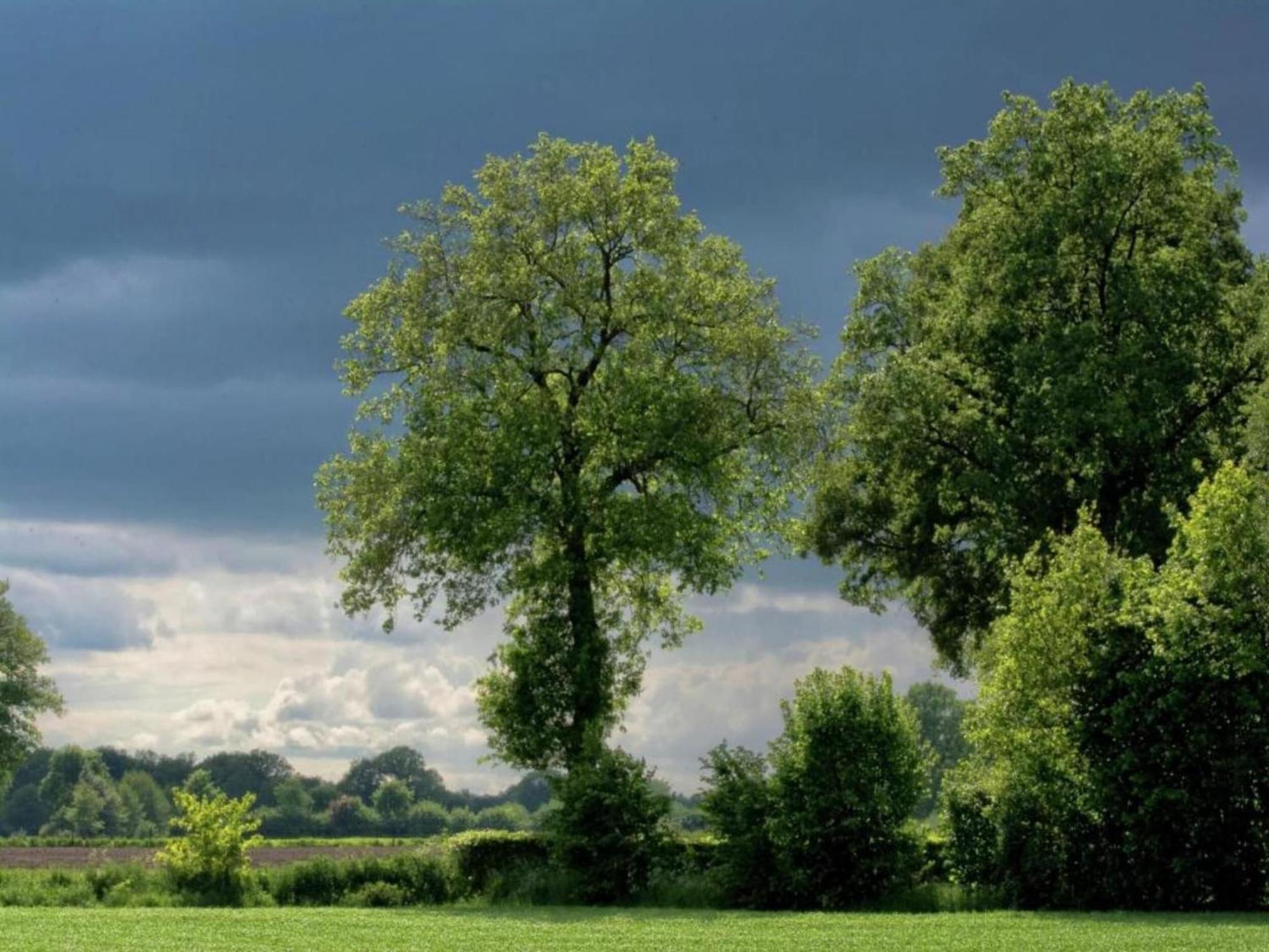 Quaint Farmhouse In Geesteren With Meadow View エクステリア 写真