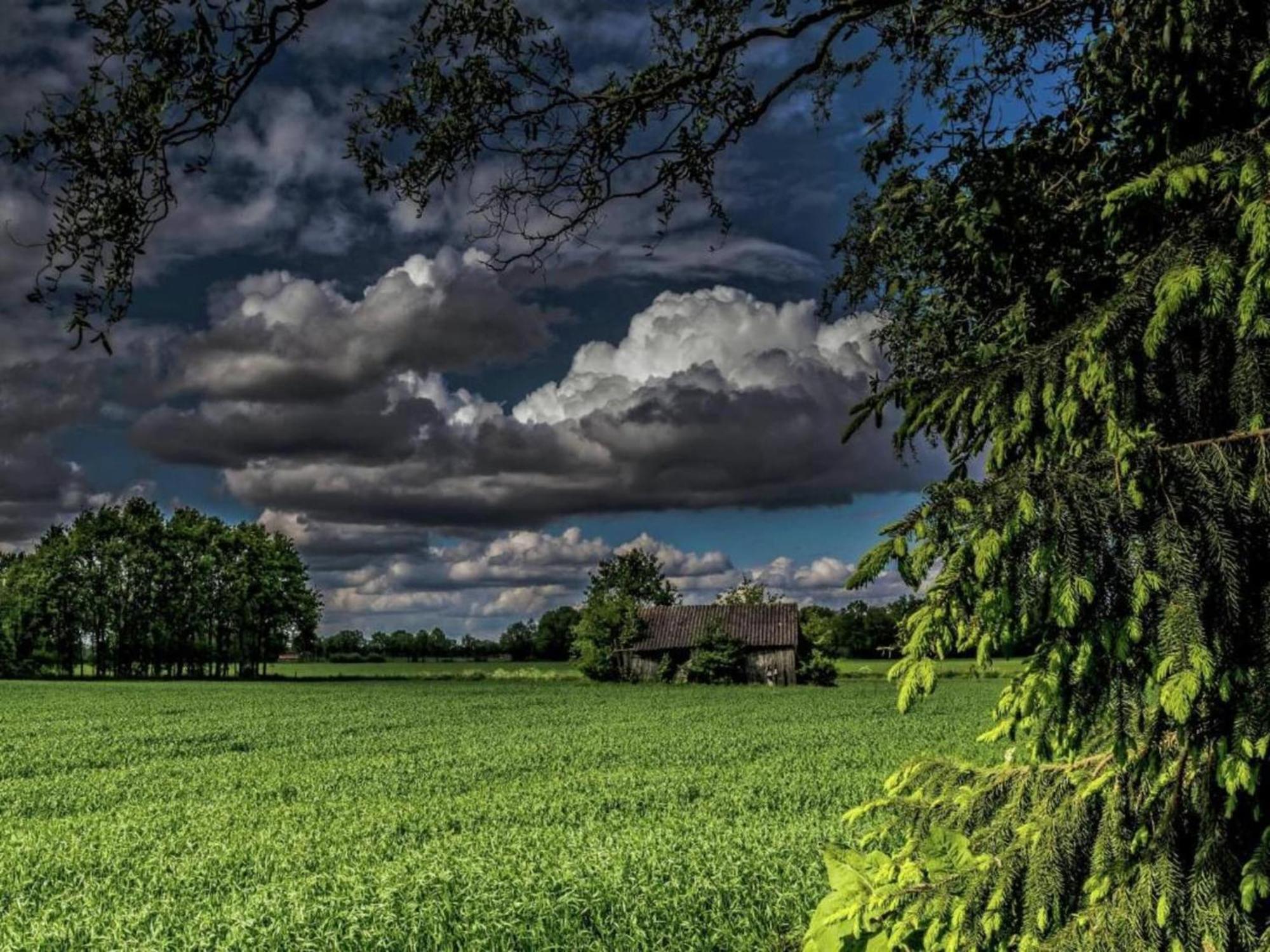 Quaint Farmhouse In Geesteren With Meadow View エクステリア 写真